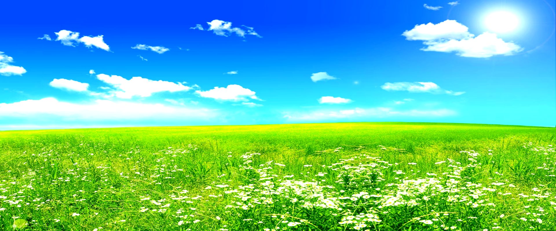 พื้นหลัง